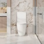 Norton Back-to-Wall Toilet Suite - Image 2