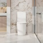Pani Back-to-Wall Toilet Suite - Image 2