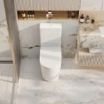 Pani Back-to-Wall Toilet Suite - Image 3